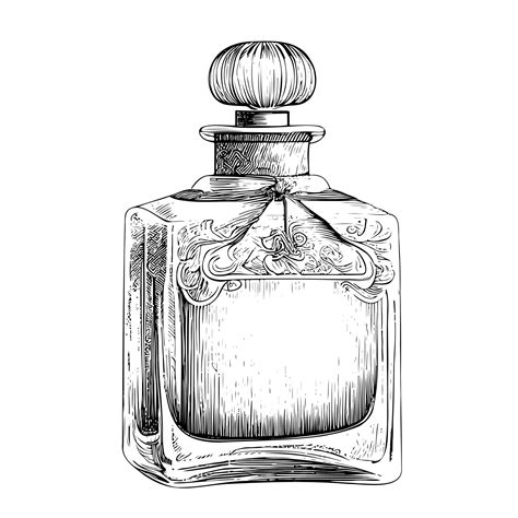 perfume bottle sketch